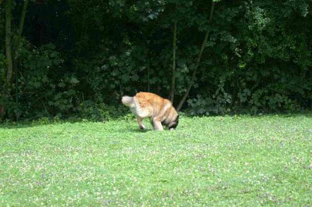 obeissance 2014-08-02